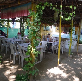 Restaurante O'Coqueiro Diu