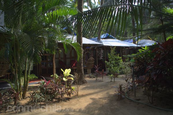 El jardín de Cressida Cyrus 