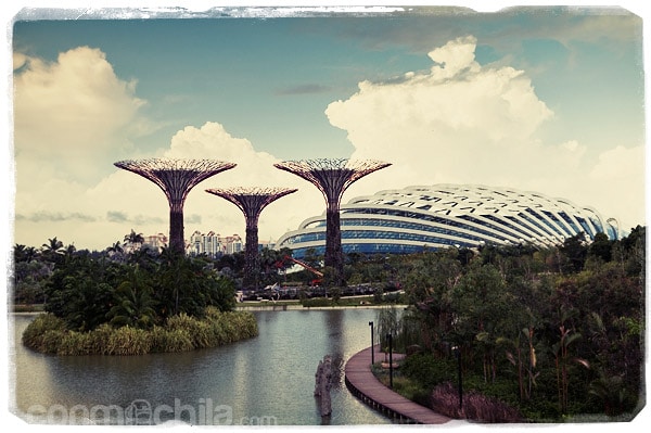 Vistas de los árboles artificiales 