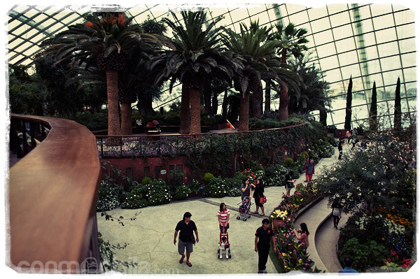 Otra vista del Flower Dome