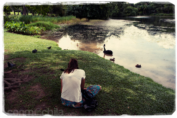 Grabando a los animales del lago