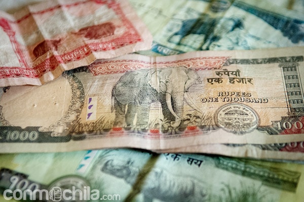 Los animales de los billetes de Nepal