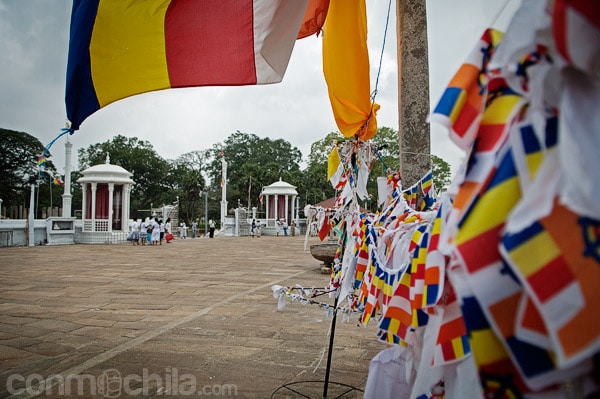 Las banderas que adornan los alrededores