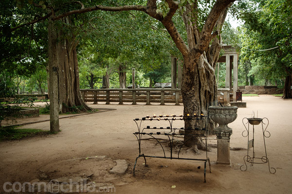 Los ornamentos de los alrededores