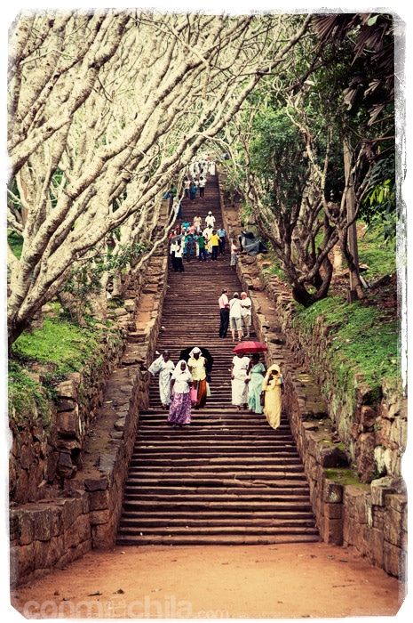 La laaaarga escalera con los peregrinos