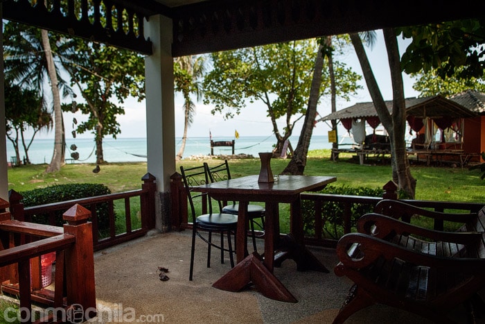 Vistas desde la terracita del bungalow