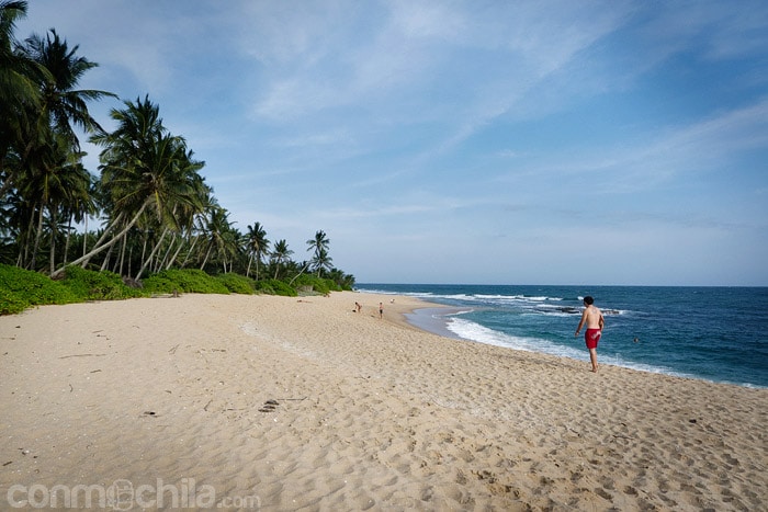 Vistas de la playa de Tangalle