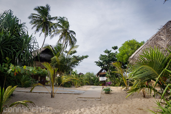 Las cabañas del Sandy's