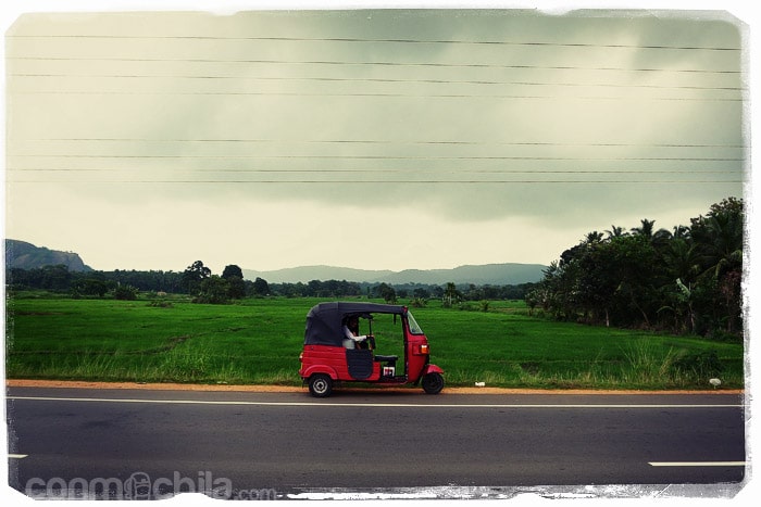 Camino de Dambulla