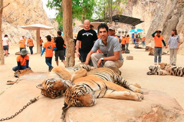 Otro clásico tailandés. ¡Vivan la turistadas con animales!