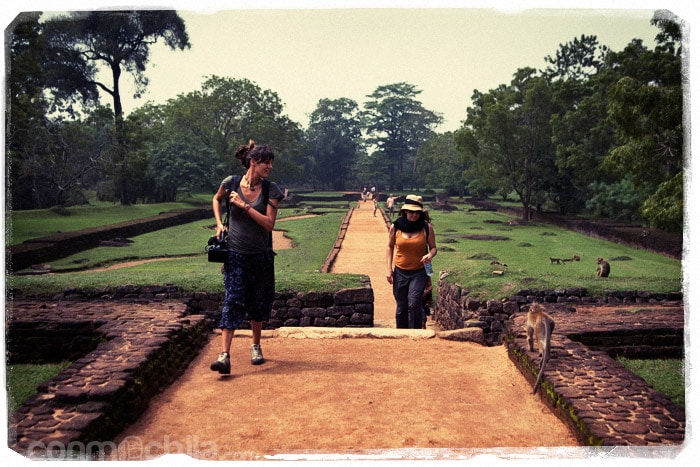 Subiendo por entre los jardines de Sigiriya