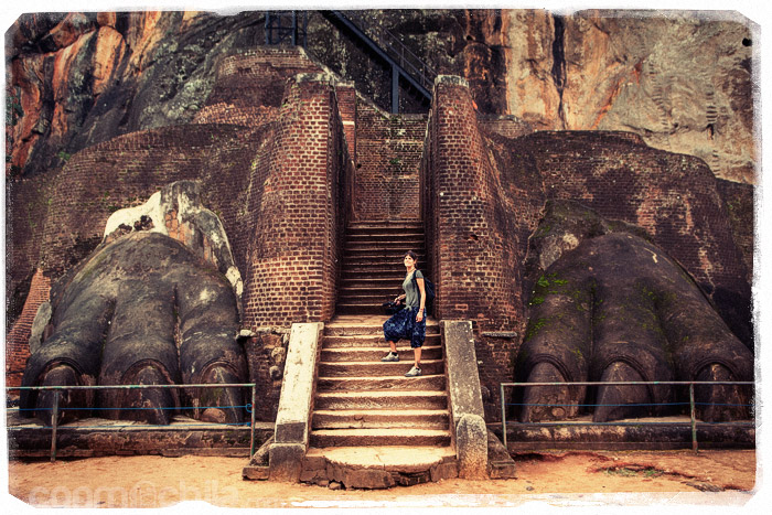 En las garras del león