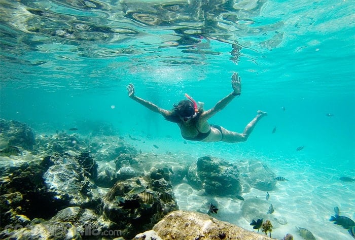 Snorkeling en Koh Tao