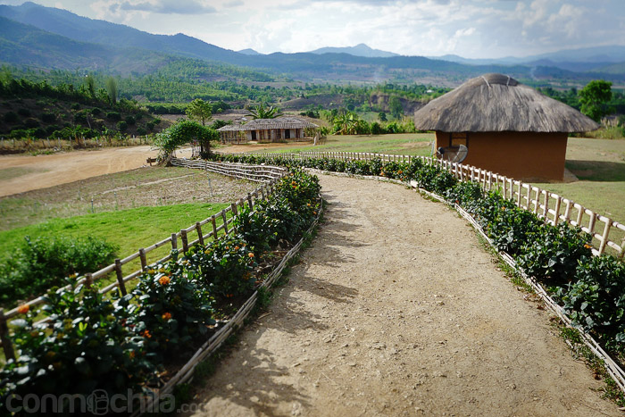 Otra perspectiva del camino