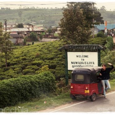 Bienvenidos a Nuwara Eliya
