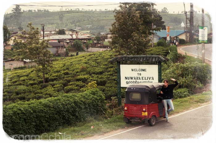 Bienvenidos a Nuwara Eliya