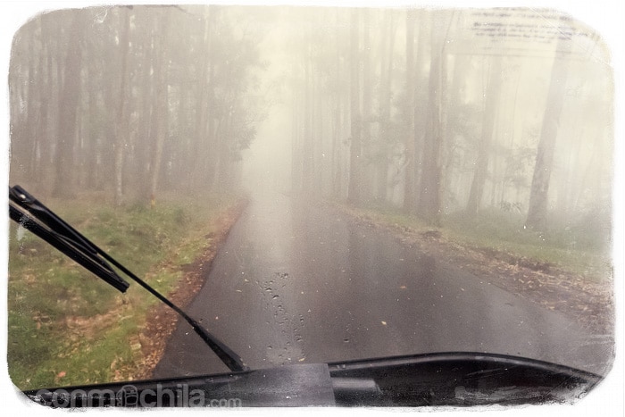 El paisaje va cambiando