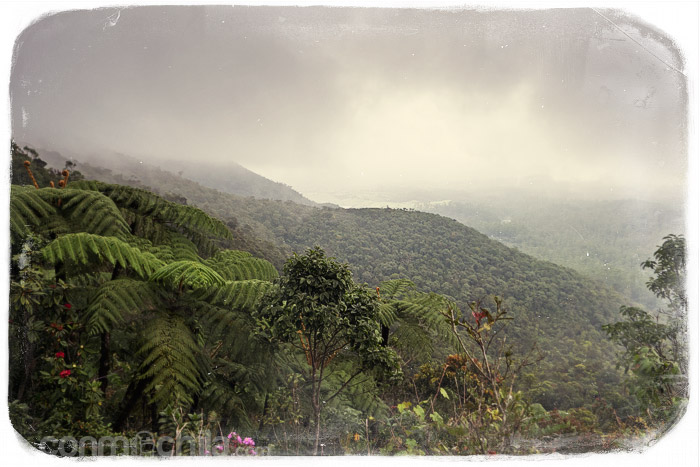 El paisaje del parque natural