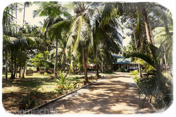El jardín de nuestro hotel
