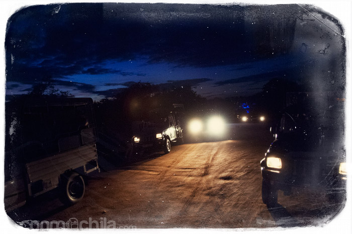 La llegada de noche al parque