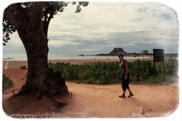De paseo por la playa del parque