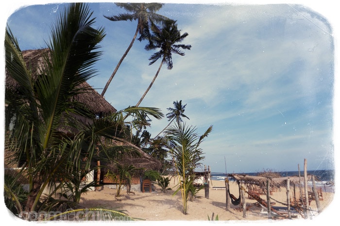 La playa frente al resort