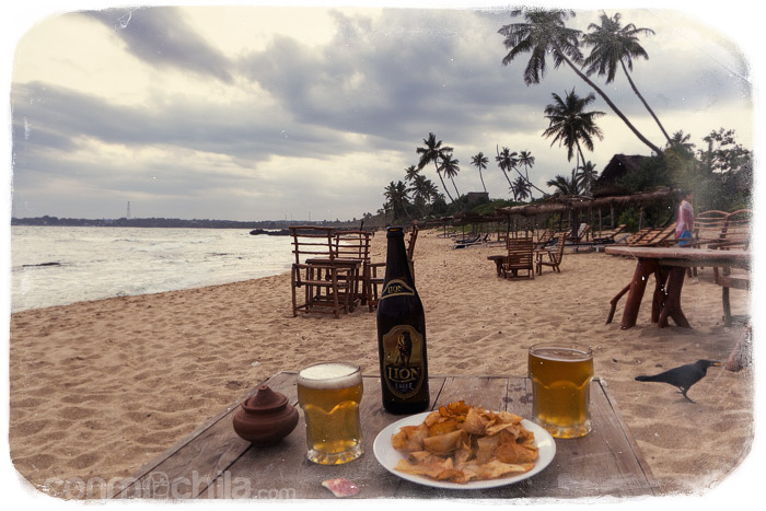 ¿Qué tal una cervecita frente al mar?
