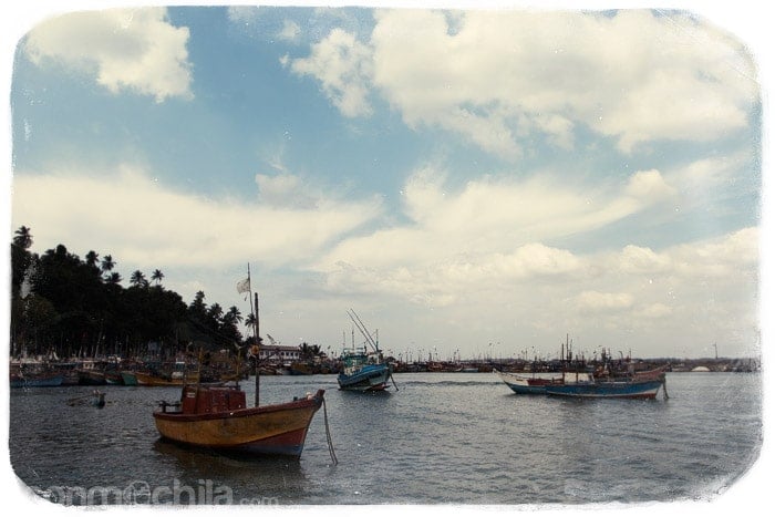 Llegada al puerto de Mirissa