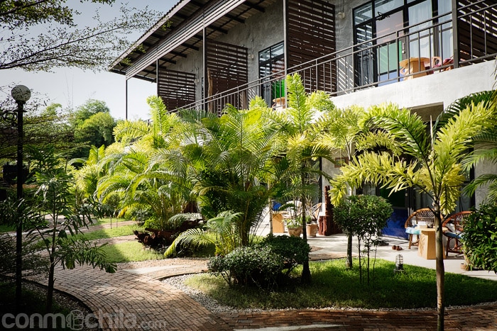 Vista del jardín