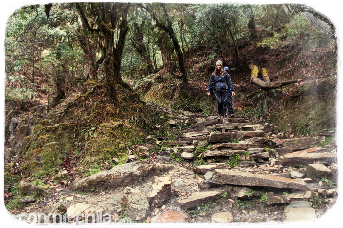 ¿Os había hablado de los escalones?