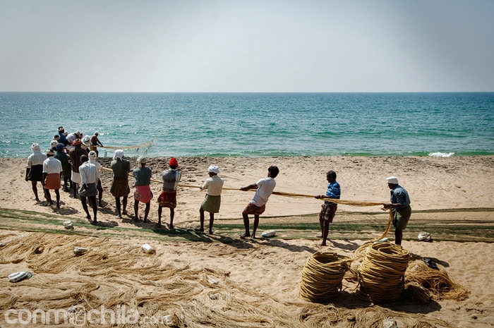 Los pescadores cantando y sacando la red