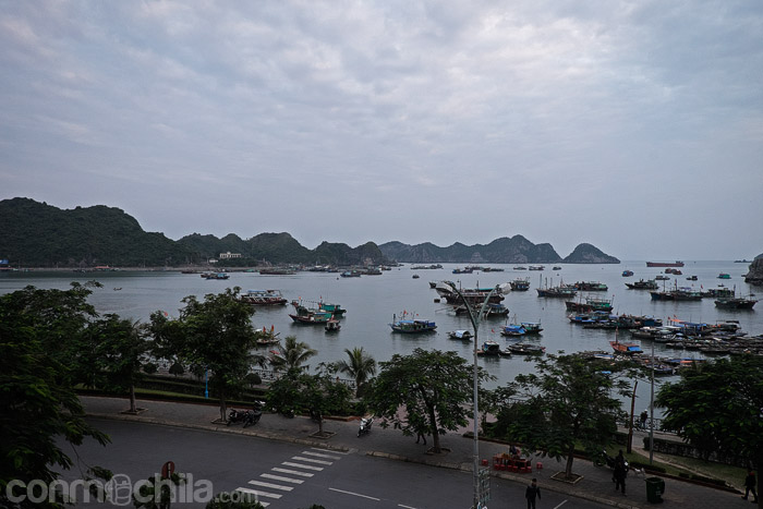 Ya las vistas del puerto de Cat Ba