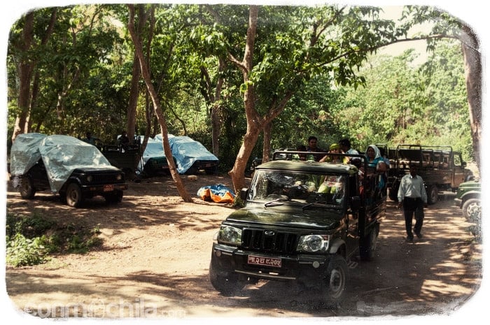 Comenzamos el safari en jeep