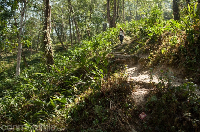 Bajando por la montaña