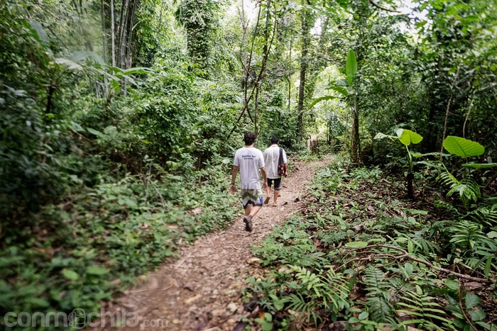 De vuelta por otro sendero