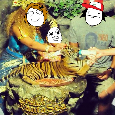Foto típica en centros de tigres