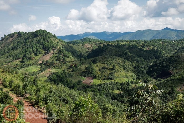 Primeras vistas