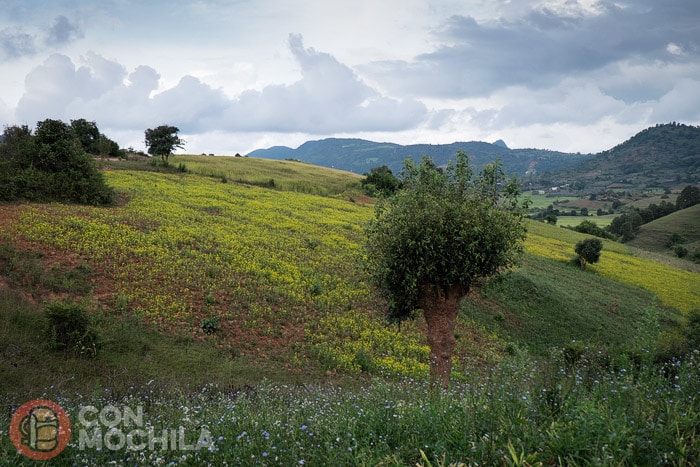 El paisaje no para de cambiar y sorprendernos