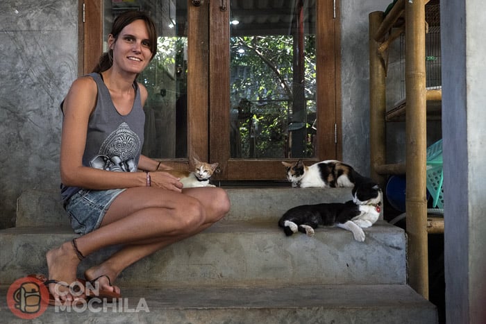 Dando mimos a los gatitos
