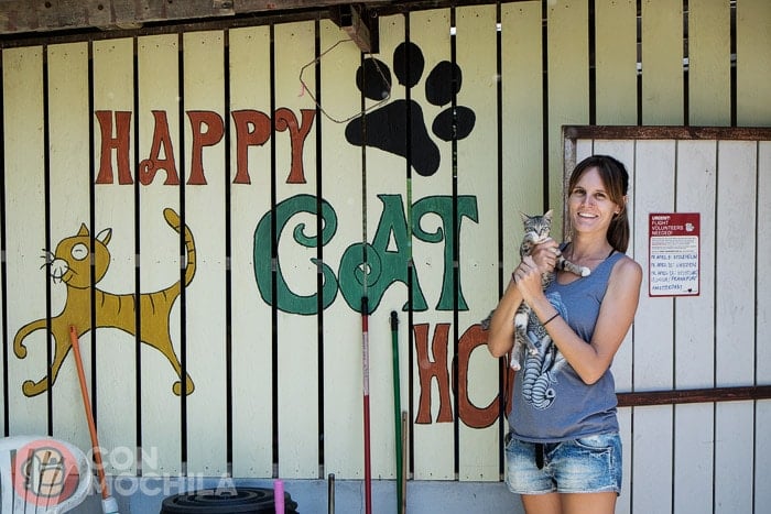 "Happy Cat House" como en casa