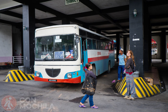 Esperando el autobús