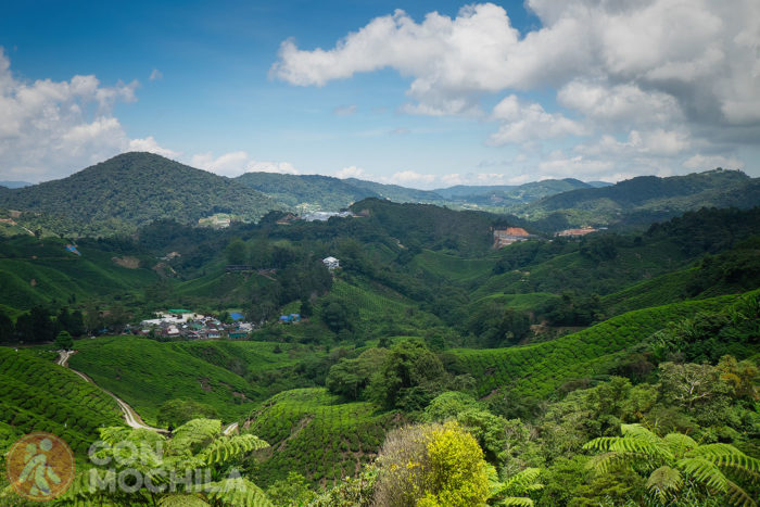 Las increíbles vistas