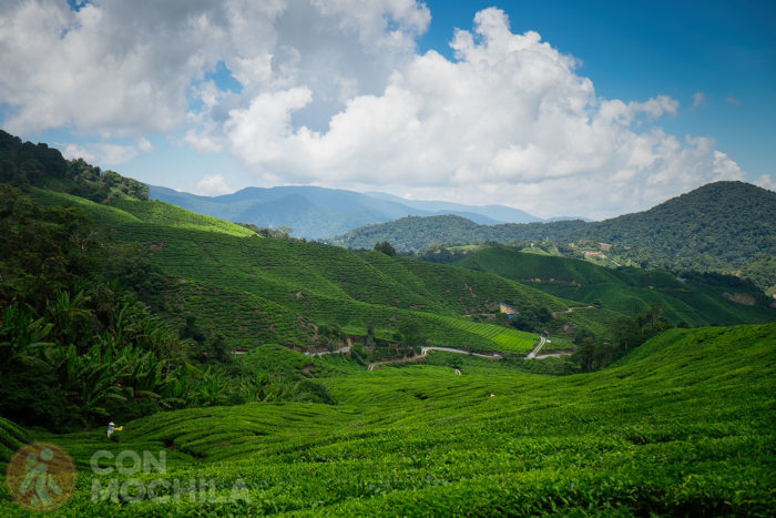 Más vistas preciosas