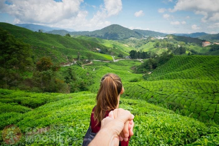 Cameron Highlands