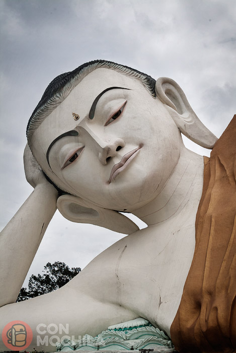 Detalle de la mirada