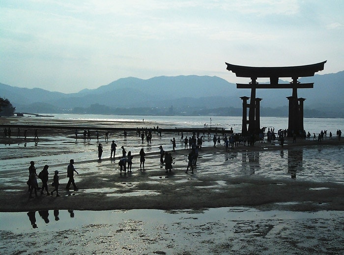 Torii