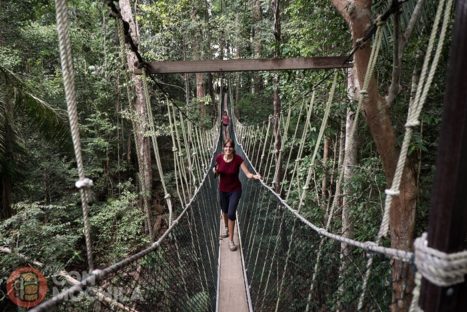 En el Canopy Walk