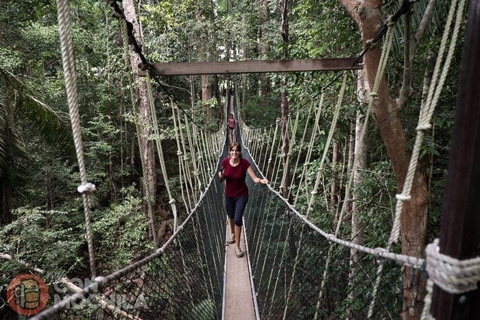 En el Canopy Walk