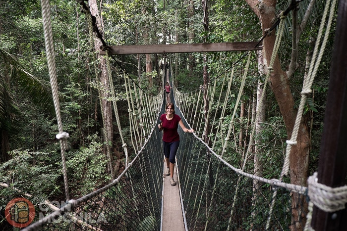 En el Canopy Walk