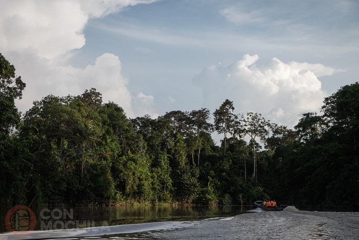 De travesía por el río Kinabatangan